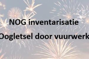 NOG vuurwerkletsel registratie