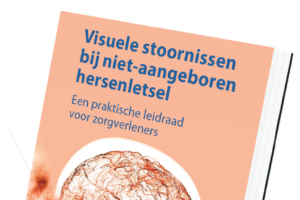 Een praktische leidraad voor visuele stoornissen bij niet-aangeboren hersenletsel