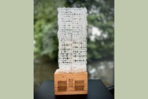 Wie verdient de Wisseltrofee Duurzame Oogheelkunde dit jaar?